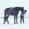 Tamara Heinz291 - @tamaraheinz1 - TikTok
