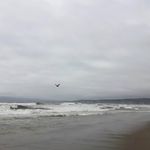 tamara hendricks - @tamara58hendricks96 - Instagram