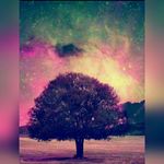 tamara hendricks || - @_tamarahendricks - Instagram