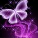 Tamara Stricker-Henning - Facebook