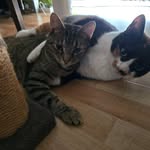Tamara Herbst-Holzer - @tama.ra3406 - Instagram