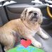 Tammy Hickman - Facebook