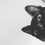 Tamra Hickman - @no_use_for_name_321 - Instagram