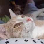 Tamara Hinton - @tamaralynn2941 - Instagram