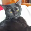 tamarahogan02 - @tamarahogan02 - TikTok