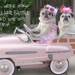 Tamara holbrook - @lularoebylorraineholbrook - Instagram