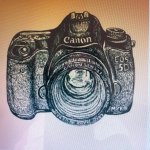 Tamara Holbrook Photography - @holbrookphotography - Instagram