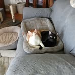 Tammy Huls - Facebook