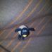 Tamara Hummel - Facebook