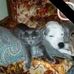 Tammy Hummel - Facebook
