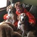 Tammy Hutter - Facebook
