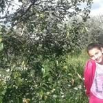 Abou Tamara Itani - @aboutamaraitani - Instagram