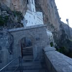 Tamara Jankovic - Facebook