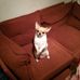 Janson Tamara - Facebook
