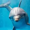Tamara Janssen - @tamarajanssen32 - TikTok