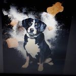 Tamara Jantz - @viebi68 - Instagram