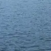 tamara - @tamarajantz - TikTok