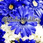 Tamara & Jeff - @lebahnwedding - Instagram