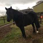 Tamarajeffrey - @tamarajeffrey55 - Instagram