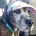 Tamara Jeffries - Facebook