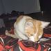 Tamara Johnston - Facebook