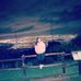 Tamara Juarez - Facebook