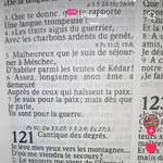 Tamara St Julien - @julientamarast - Instagram