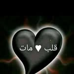 Tamara Kareem Kareem - @tamarakareemkareem - Instagram