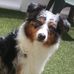 Tamara Keene - Facebook