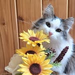 Tamara Keil Ruthenberg - @tamara_ruthenberg - Instagram