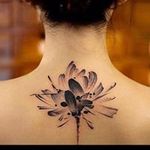 Tamara Kent - @ladytjknc - Instagram