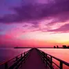 Tamara Lamar - @tamara.lamar7 - TikTok