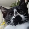 Tamara Lamar ❤️ - @tamlm19 - TikTok