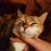 Tamara Landi - Facebook