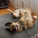 Tamara Large - Facebook
