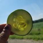 TamaraLeland - @tjleland101 - Instagram