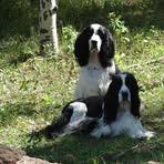 Tamera Lemke - Facebook