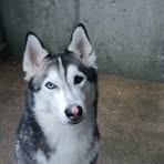 Tammy Lemke - Facebook