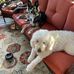 Tammy Lepage - Facebook