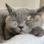 Tamara Muff-Levis - @baluna_mufflevis - Instagram