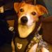 Tammy Libbey - Facebook
