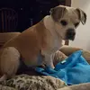 tamaralilly87 - @tamaralilly87 - TikTok
