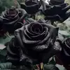 Tamara Linno - @tamaralinno - TikTok