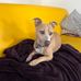 Tamara Lockman - Facebook