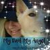 Tami Lockman - Facebook