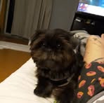 Tamara Logan - Facebook