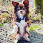 Tamara Loosli - @tamara.loosli.31 - Instagram