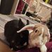 Tamara Lorenz - Facebook