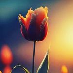 Tamara Camargo Lucero - @_oktamii - Instagram