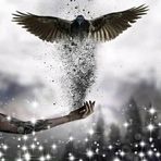 Tamara Lucero - Facebook